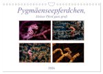 Pygmäenseepferdchen, kleines Pferd ganz groß (Wandkalender 2026 DIN A4 quer), CALVENDO Monatskalender