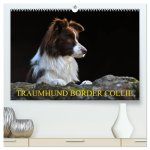 Traumhund Border Collie (hochwertiger Premium Wandkalender 2026 DIN A2 quer), Kunstdruck in Hochglanz