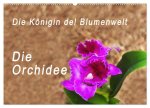 Die Königin der Blumenwelt, die Orchidee (Wandkalender 2026 DIN A2 quer), CALVENDO Monatskalender