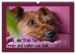 Kelly, der Irish Terrier - innen und außen aus Gold (Wandkalender 2026 DIN A3 quer), CALVENDO Monatskalender