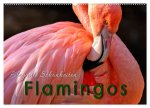 Flamingos - elegante Schönheiten (Wandkalender 2026 DIN A2 quer), CALVENDO Monatskalender