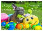 Kleiner Kobold Französische Bulldogge (Wandkalender 2026 DIN A2 quer), CALVENDO Monatskalender