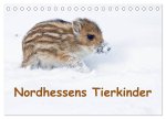 Nordhessens Tierkinder (Tischkalender 2026 DIN A5 quer), CALVENDO Monatskalender