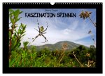 Faszination Spinnen (Wandkalender 2026 DIN A3 quer), CALVENDO Monatskalender