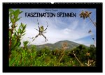 Faszination Spinnen (Wandkalender 2026 DIN A2 quer), CALVENDO Monatskalender