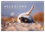Helgoland - Das Leben auf der Düne Helgolands (Tischkalender 2026 DIN A5 quer), CALVENDO Monatskalender
