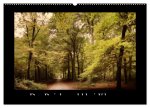 Der Reichswald bei Kleve (Wandkalender 2026 DIN A2 quer), CALVENDO Monatskalender