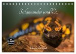 Salamander und Co. (Tischkalender 2026 DIN A5 quer), CALVENDO Monatskalender