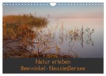 Natur erleben Seewinkel-Neusiedlersee (Wandkalender 2026 DIN A4 quer), CALVENDO Monatskalender