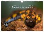 Salamander und Co. (Wandkalender 2026 DIN A4 quer), CALVENDO Monatskalender