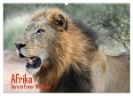 Afrika. Tiere in freier Wildbahn (Wandkalender 2026 DIN A2 quer), CALVENDO Monatskalender