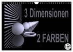 3 Dimensionen - 2 Farben (Wandkalender 2026 DIN A4 quer), CALVENDO Monatskalender
