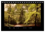 Der Reichswald bei Kleve (Tischkalender 2026 DIN A5 quer), CALVENDO Monatskalender