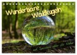 Wunderbare Waldkugeln (Tischkalender 2026 DIN A5 quer), CALVENDO Monatskalender