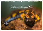 Salamander und Co. (Wandkalender 2026 DIN A3 quer), CALVENDO Monatskalender