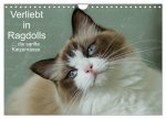 Verliebt in Ragdolls ... die sanfte Katzenrasse (Wandkalender 2026 DIN A4 quer), CALVENDO Monatskalender
