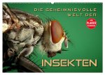Die geheimnisvolle Welt der Insekten (Wandkalender 2026 DIN A2 quer), CALVENDO Monatskalender