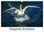Elegante Schwäne (Wandkalender 2026 DIN A3 quer), CALVENDO Monatskalender