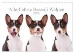 Allerliebste Basenji Welpen 2026 (Wandkalender 2026 DIN A3 quer), CALVENDO Monatskalender