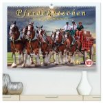 Pferdekutschen - Vorgänger des Automobils (hochwertiger Premium Wandkalender 2026 DIN A2 quer), Kunstdruck in Hochglanz