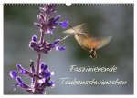 Faszinierende Taubenschwänzchen (Wandkalender 2026 DIN A3 quer), CALVENDO Monatskalender