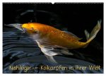 Nishikigoi - Koikarpfen in ihrer Welt (Wandkalender 2026 DIN A2 quer), CALVENDO Monatskalender