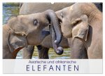 Asiatische und afrikanische Elefanten (Wandkalender 2026 DIN A2 quer), CALVENDO Monatskalender