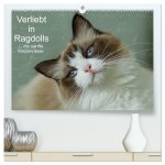 Verliebt in Ragdolls ... die sanfte Katzenrasse (hochwertiger Premium Wandkalender 2026 DIN A2 quer), Kunstdruck in Hochglanz