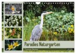 Paradies Naturgarten (Wandkalender 2026 DIN A4 quer), CALVENDO Monatskalender