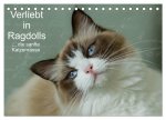 Verliebt in Ragdolls ... die sanfte Katzenrasse (Tischkalender 2026 DIN A5 quer), CALVENDO Monatskalender