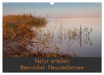 Natur erleben Seewinkel-Neusiedlersee (Wandkalender 2026 DIN A3 quer), CALVENDO Monatskalender