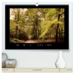 Der Reichswald bei Kleve (hochwertiger Premium Wandkalender 2026 DIN A2 quer), Kunstdruck in Hochglanz
