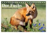 Der Fuchs. Bezaubernder Geselle (Tischkalender 2026 DIN A5 quer), CALVENDO Monatskalender