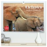 Elefanten in freier Wildbahn (hochwertiger Premium Wandkalender 2026 DIN A2 quer), Kunstdruck in Hochglanz