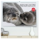 Seehunde und Otter. Putzige Gesellen, perfekte Schwimmer (hochwertiger Premium Wandkalender 2026 DIN A2 quer), Kunstdruck in Hochglanz