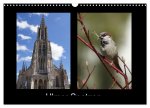Ulmer Spatzen (Wandkalender 2026 DIN A3 quer), CALVENDO Monatskalender