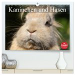 Kaninchen und Hasen (hochwertiger Premium Wandkalender 2026 DIN A2 quer), Kunstdruck in Hochglanz