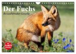 Der Fuchs. Bezaubernder Geselle (Wandkalender 2026 DIN A4 quer), CALVENDO Monatskalender