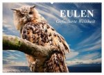 Eulen. Gefiederte Weisheit (Wandkalender 2026 DIN A2 quer), CALVENDO Monatskalender
