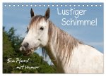 Lustiger Schimmel - ein Pferd mit Humor (Tischkalender 2026 DIN A5 quer), CALVENDO Monatskalender