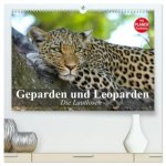 Die Lautlosen. Geparden und Leoparden (hochwertiger Premium Wandkalender 2026 DIN A2 quer), Kunstdruck in Hochglanz