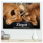 Ziegen. Lustige Ausbruchskünstler (hochwertiger Premium Wandkalender 2026 DIN A2 quer), Kunstdruck in Hochglanz
