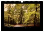 Der Reichswald bei Kleve (Wandkalender 2026 DIN A4 quer), CALVENDO Monatskalender