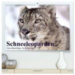 Schneeleoparden. Geschmeidige Gebirgsjäger (hochwertiger Premium Wandkalender 2026 DIN A2 quer), Kunstdruck in Hochglanz