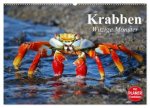 Krabben. Witzige Monster (Wandkalender 2026 DIN A2 quer), CALVENDO Monatskalender