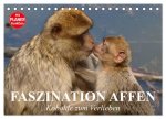 Faszination Affen. Kobolde zum Verlieben (Tischkalender 2026 DIN A5 quer), CALVENDO Monatskalender