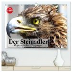 Der Steinadler. Majestätischer Greifvogel (hochwertiger Premium Wandkalender 2026 DIN A2 quer), Kunstdruck in Hochglanz