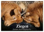 Ziegen. Lustige Ausbruchskünstler (Tischkalender 2026 DIN A5 quer), CALVENDO Monatskalender