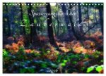 Spaziergang durch den Zauberwald (Wandkalender 2026 DIN A4 quer), CALVENDO Monatskalender