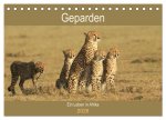 Geparden - Ein Leben in Afrika (Tischkalender 2026 DIN A5 quer), CALVENDO Monatskalender